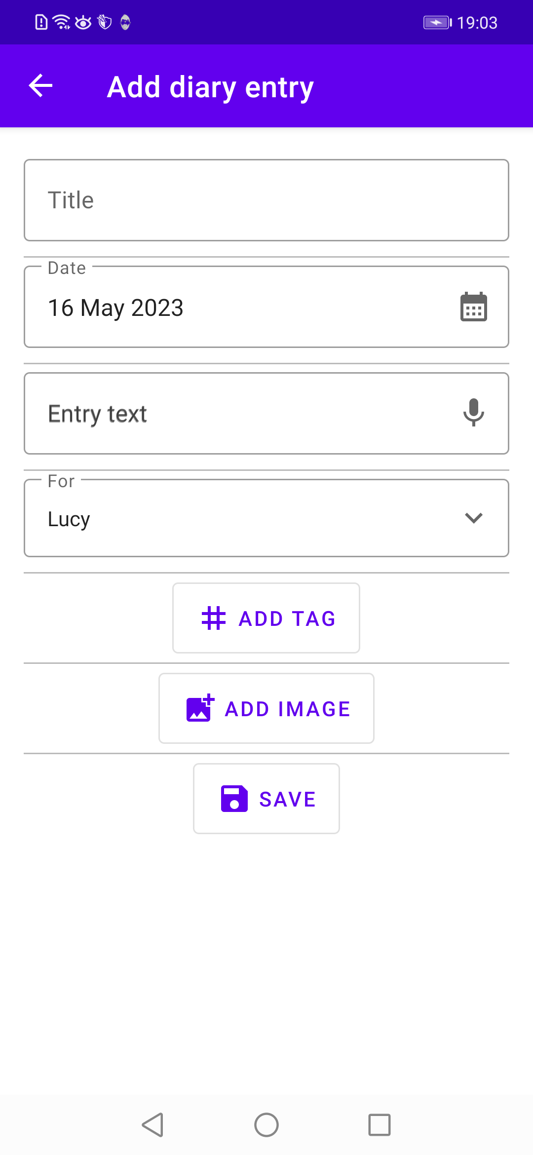 Input screen for adding diary entries